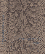 Sociologicheskie jetjudy (used)