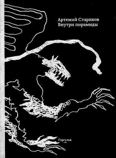 Starikov A. Vnutri piramidy